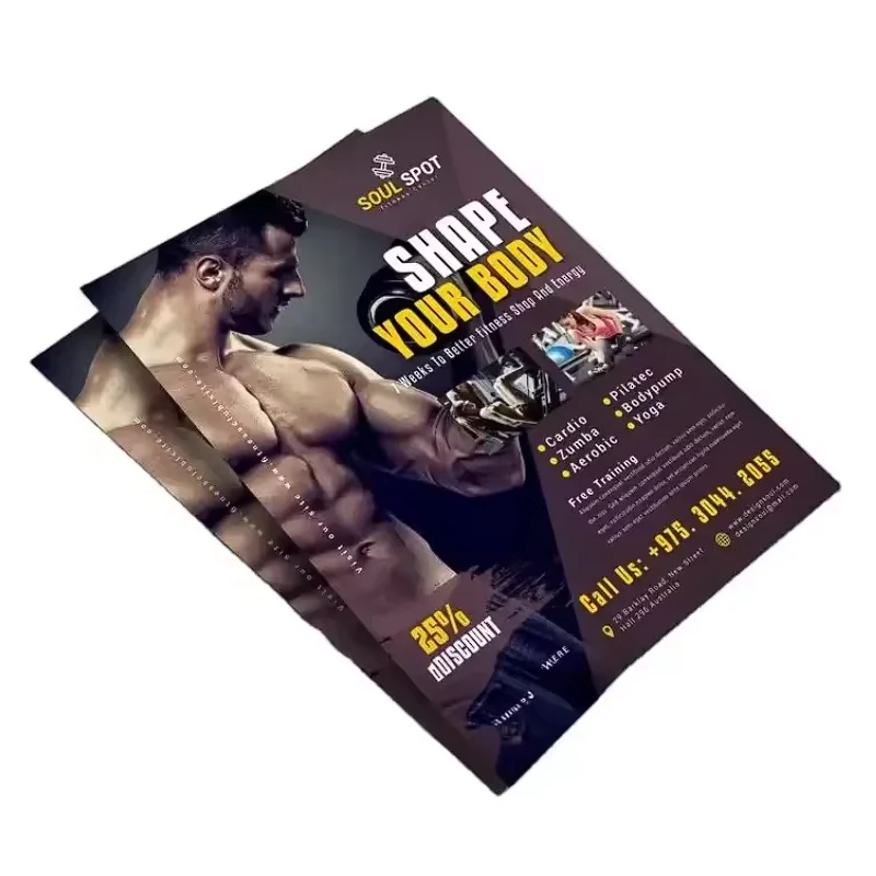 inseto do papel revestido 150gsm